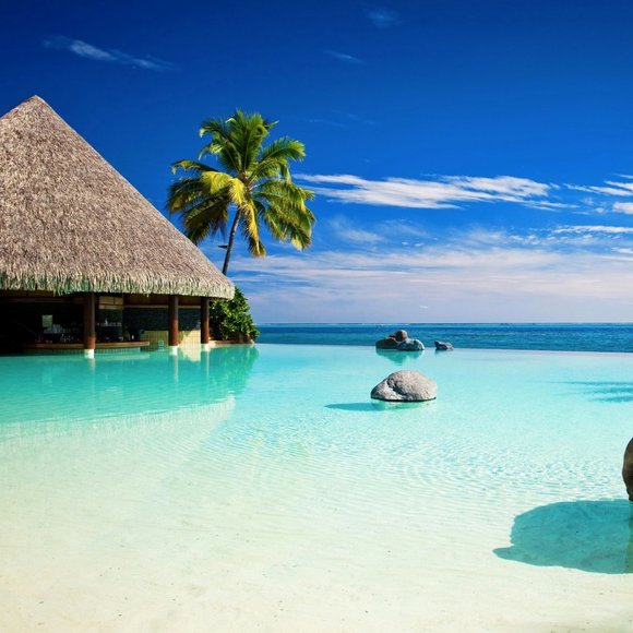 Meet your Posher, Jennifer - Picture 1 of 1